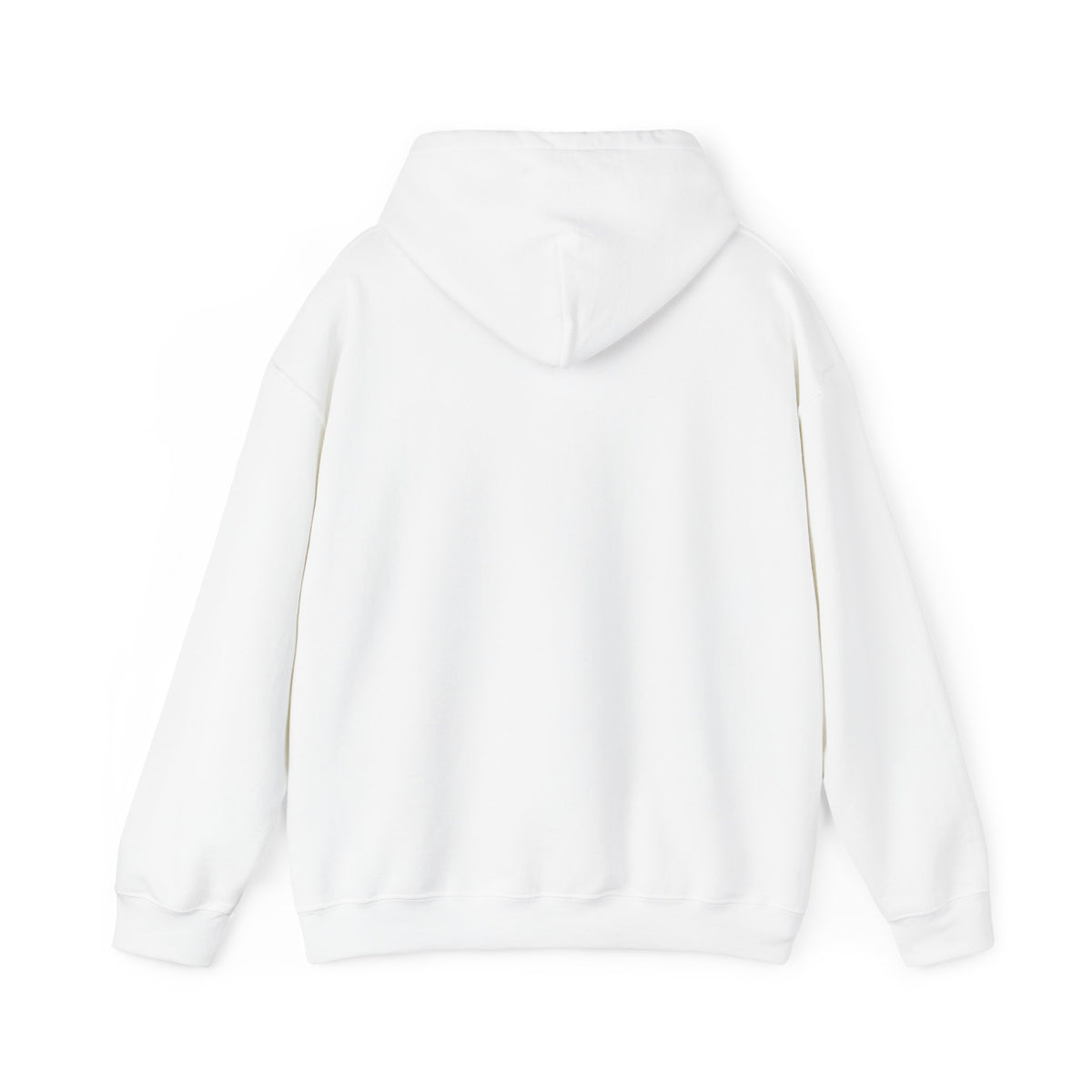 SuicideBoys Either Hated or Ignored Hoodie v1