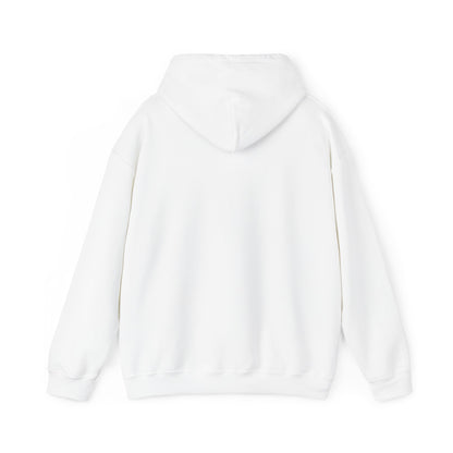 SuicideBoys Either Hated or Ignored Hoodie v1