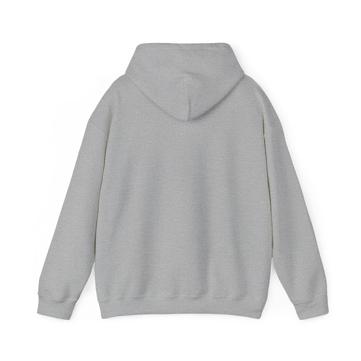 SuicideBoys Either Hated or Ignored Hoodie v1