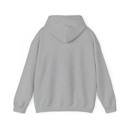 SuicideBoys Either Hated or Ignored Hoodie v1