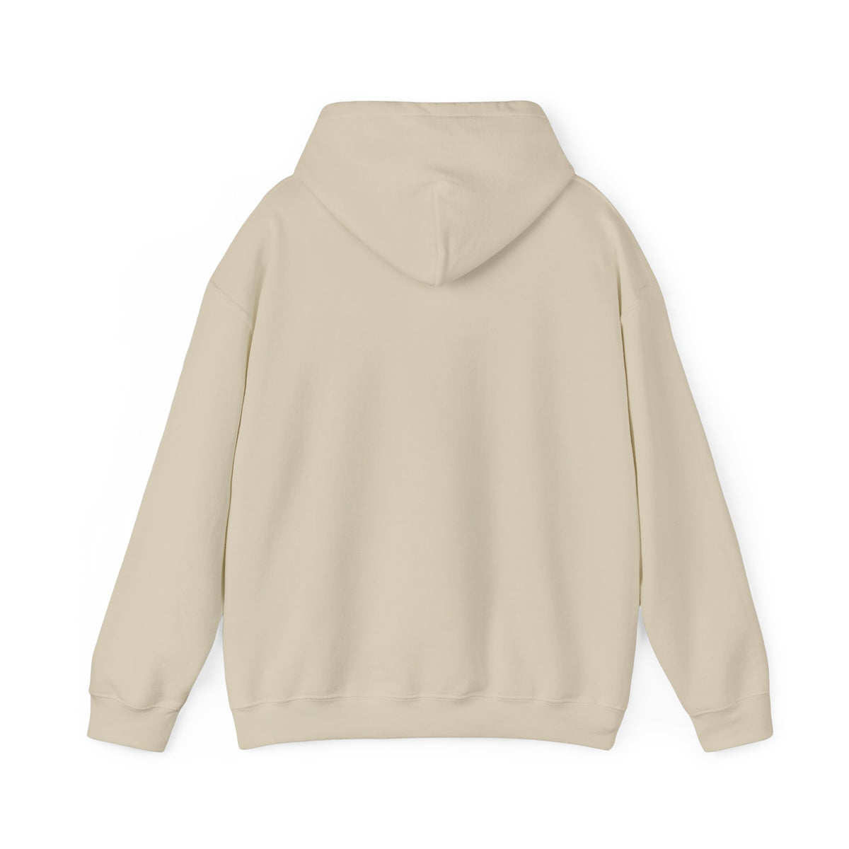SuicideBoys Either Hated or Ignored Hoodie v1