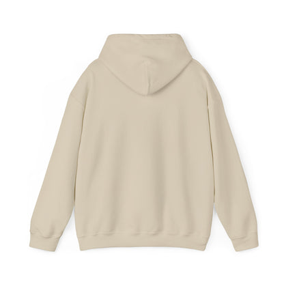 SuicideBoys Either Hated or Ignored Hoodie v1
